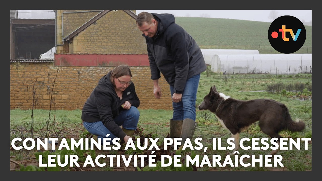 Témoignage : ce couple de maraîcher cesse sont activité à cause d'une pollution aux Pfas