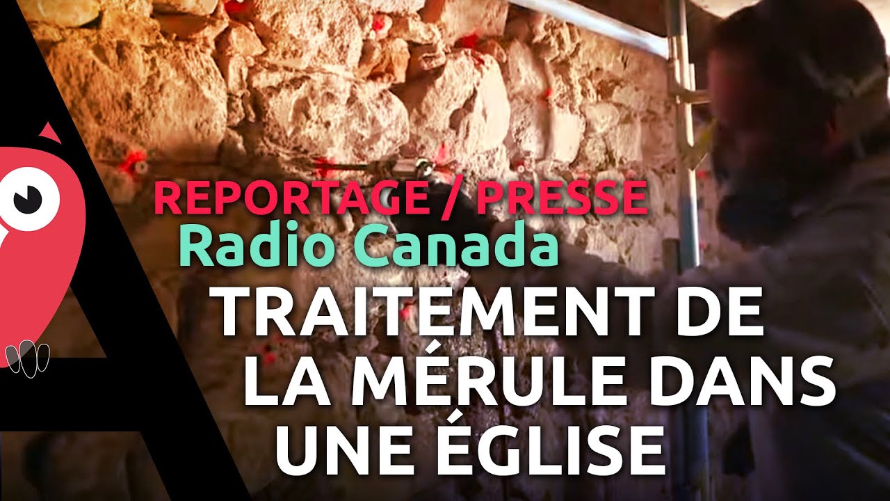 AUBRIAT - Éradication du mérule dans une église