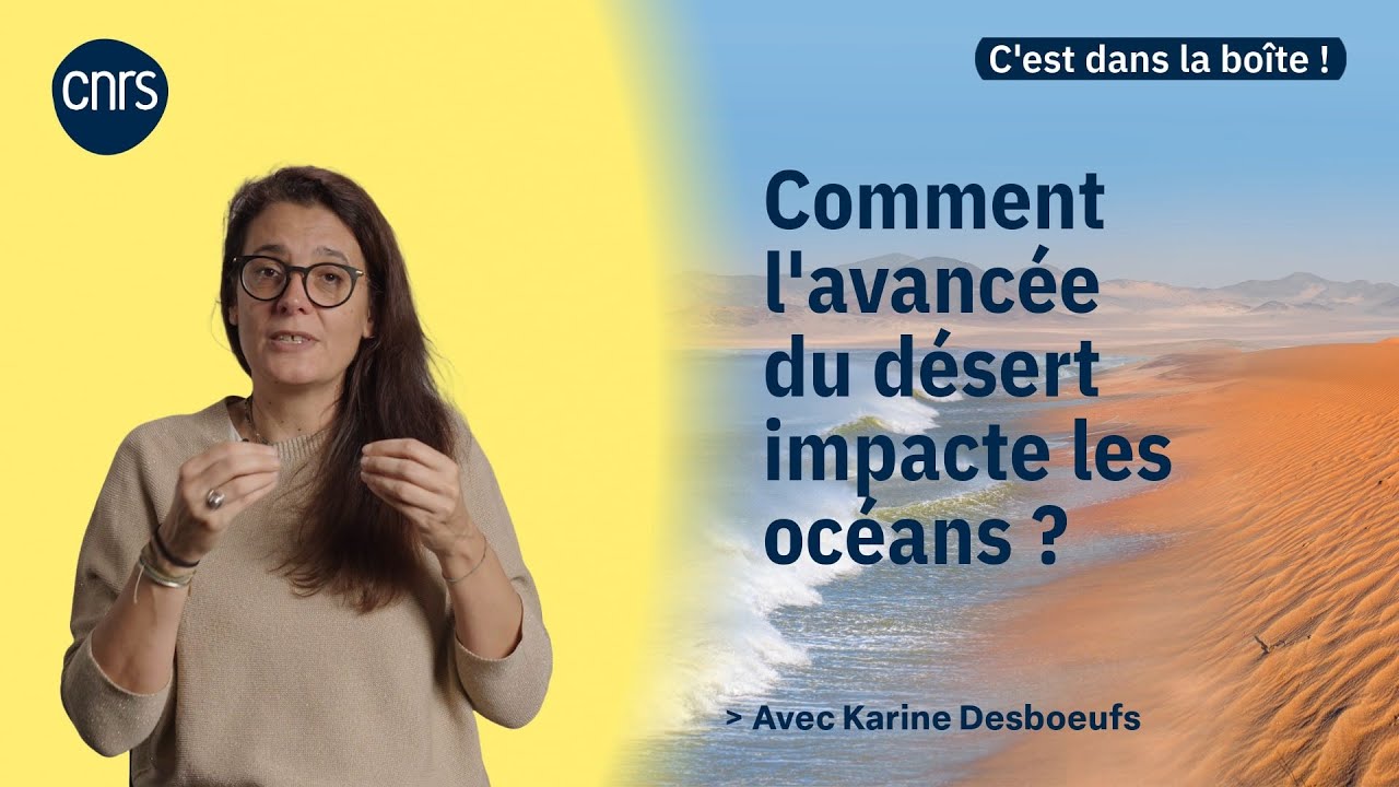 Comment l'avancée du désert impacte les océans ? | C'est dans la boîte ! - S2 - EP. 4