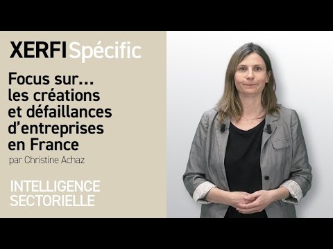 Focus sur… les créations et défaillances d’entreprises en France [Christine Achaz]